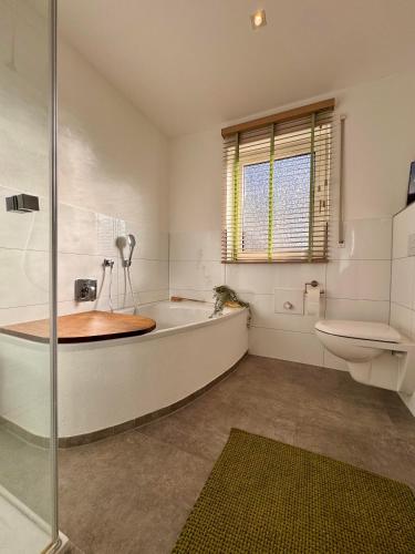 a bathroom with a bath tub and a toilet at Ferienwohnung Fichtel-STEIN in Fichtelberg