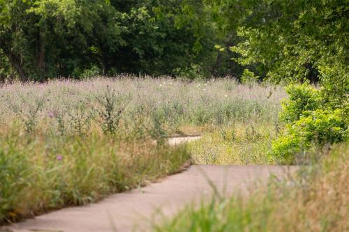 a path through a field of grass and flowers at Hyatt Regency Lost Pines Resort and Spa in Cedar Creek