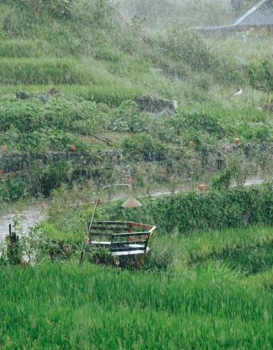 a bench in the middle of a field of grass at Pu Luong Jungle Lodge in Pu Luong