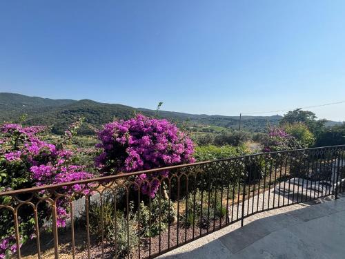 a balcony with purple flowers and a fence at Relais dei Molini - Villa dei Molini in Castagneto Carducci