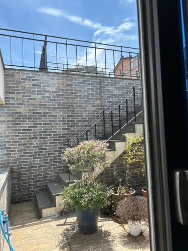 a view from a window of a staircase with potted plants at Guest House Dalggume in Mokpo