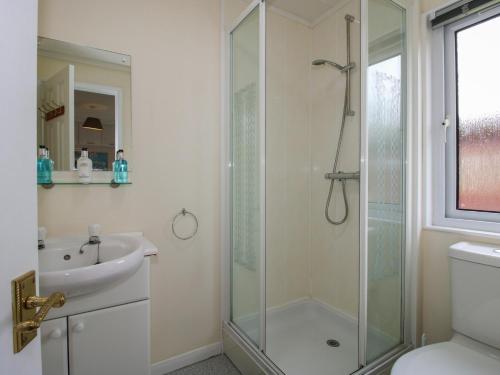 a bathroom with a shower and a sink at Snowdrop in Leominster