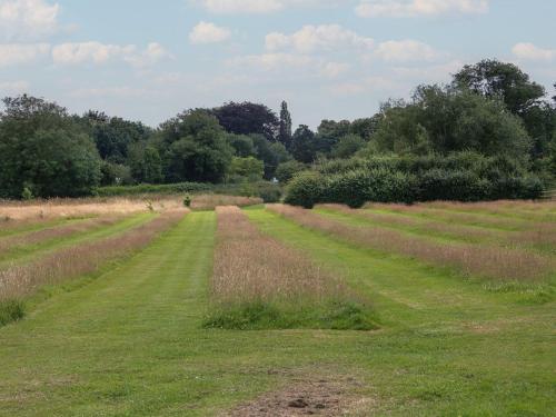 a field of grass with two roads merging at Snowdrop in Leominster