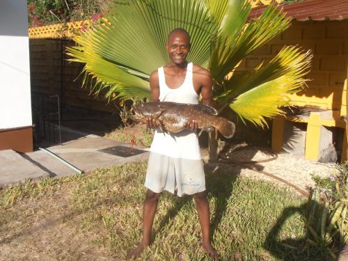 a man holding a large fish in his hands at Sunset villas Tropical Garden House in Kilifi