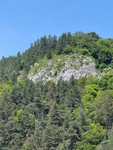 a mountain with a person on top of it at Pensiunea Carina in Bran