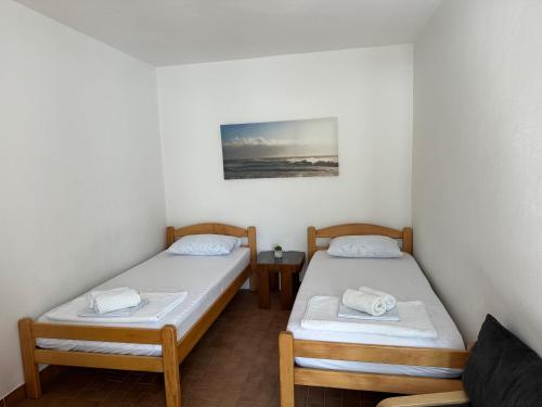 two twin beds in a room with a picture on the wall at Apartments Suzana in Herceg-Novi