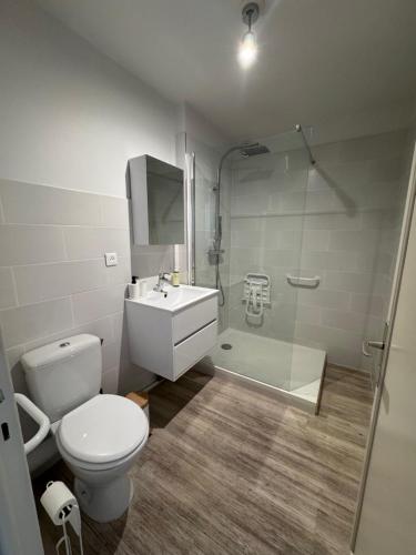 a bathroom with a toilet and a sink and a shower at Le Nid Douillet du Carré d'OR in Antibes