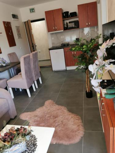 Una cocina o cocineta en Apartman Goga 2