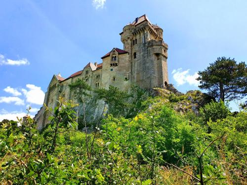 an old castle on top of a hill at Hotel Hotwagner in Maria Enzersdorf