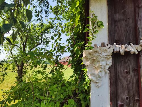 Φωτογραφία από το άλμπουμ του Villa Torsås by the Fields, Kalmar region σε Söderåkra