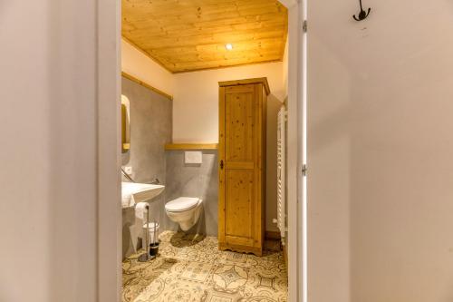 a bathroom with a toilet and a sink at Chambre d'hôte Gite Passoud in Oz