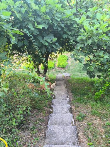 Jardín al aire libre en Apartma Sunside
