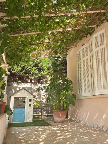 une maison avec une plante en pot devant une porte dans l'établissement Villa Manoa, à Ollioules