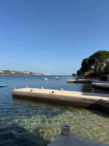 Naturlandskabet i nærheden af lejligheden