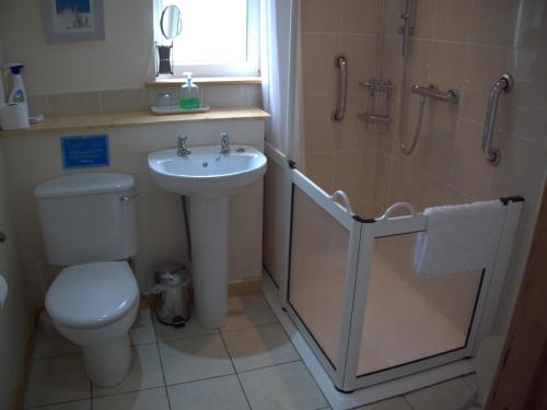 a bathroom with a toilet and a sink and a shower at Ornum Cottage in Beauly