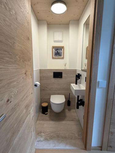 a bathroom with a toilet and a sink at Haus Albuin in Sankt Gallenkirch