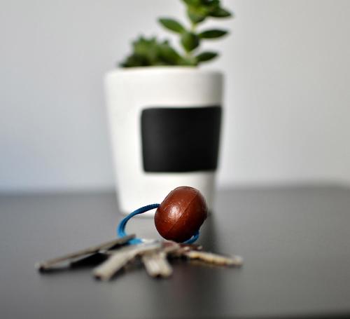 a chocolate candy on a table with a plant in a vase at Mistral Appartements in Saint-Louis-du-Rhône