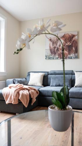 a living room with a blue couch and a plant at Pinkerton House in Dunfermline