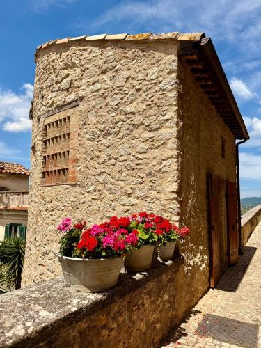 three pots of flowers on a stone building at Il Rivellino - Tamerò Estates in Casperia