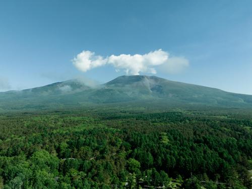 an aerial view of a mountain with trees at Villa Metsä KARUIZAWA ヴィラメッサ軽井沢 in Karuizawa