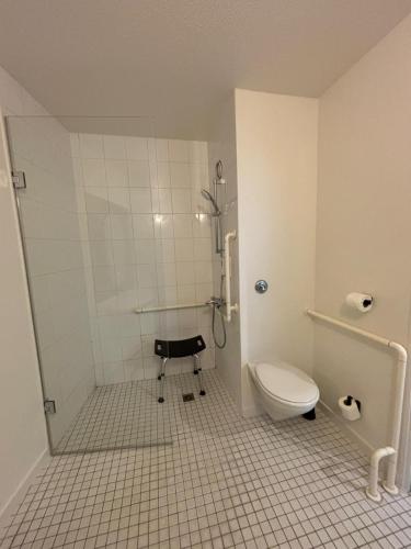 une salle de bain avec douche et toilettes dans l'établissement ibis Strasbourg Aéroport Le Zénith, à Lingolsheim