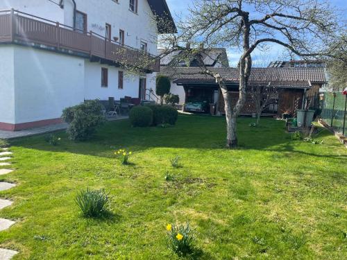 a yard with a tree and a house at Ferienwohnung Eifler in Lam