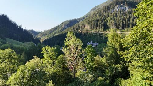 Φυσικό τοπίο κοντά σε αυτό το διαμέρισμα