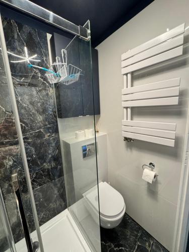 a bathroom with a toilet and a glass shower at 2 pokojowy apartament in Dąbki