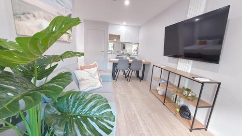 a living room with a couch and a tv at Belmoral Corporate Suites in Townsville