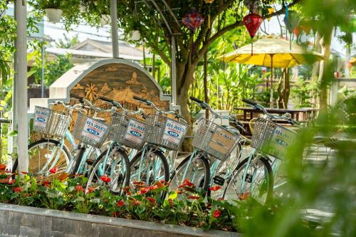 a row of bikes parked in a garden at Blessing Villa Hoi An in Hoi An