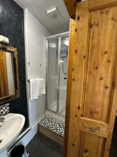 Bilik mandi di The Prince of Wales Inn - Tredegar