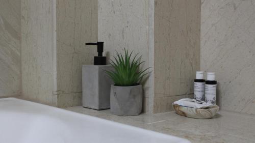 a bathroom with a sink and a bath tub with a plant at Constantin in Dhémbla