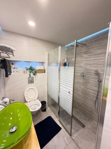 エイラットにあるLeo Apartment by the sea Eilatのバスルーム(緑のシンク、シャワー付)