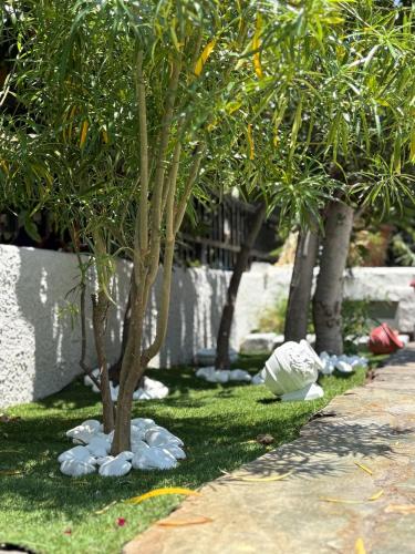 a row of trees with white rocks around them at Sunbeam house in Nea Makri