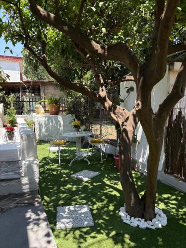 a tree in the middle of a yard at Sunbeam house in Nea Makri