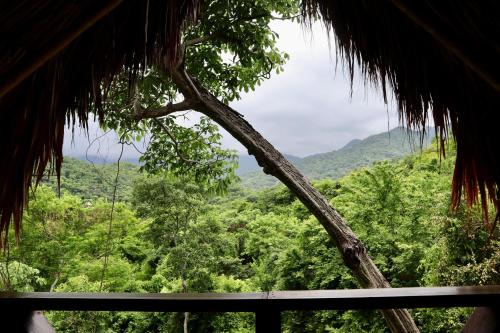 a view of a forest from a hut with a tree at Finca Carpe Diem Ecolodge in Minca