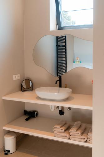 a bathroom with a sink and a mirror at VAKANTIEDOMEIN DOUVE in Heuvelland