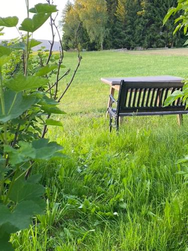 a park bench sitting in a field of grass at Böhmerwald fun in Schwarzenberg am Bohmerwald