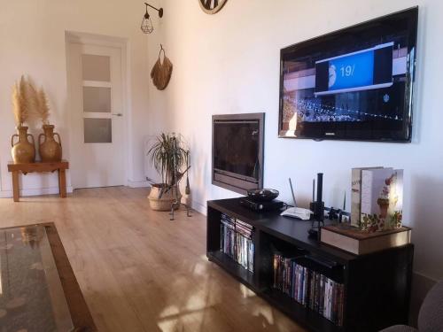 Las Yucas rural houseにあるテレビまたはエンターテインメントセンター