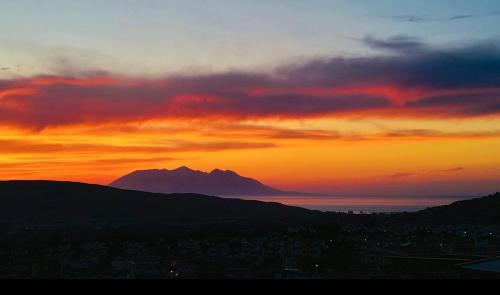Green Roof Terrace with Sea and Nature view
