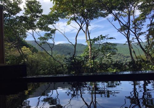 a pool in the jungle with a view of the mountains at LiVEMAX Resort Atami Forest in Atami