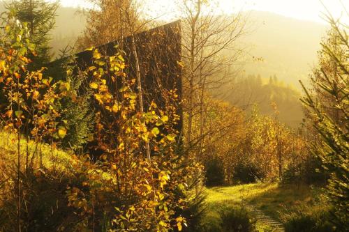 a path in the middle of a field with trees at Miko II in Slavske