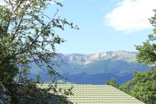 a view of the grand canyon through the trees at Dilijan Park Resort & Villas in Dilijan