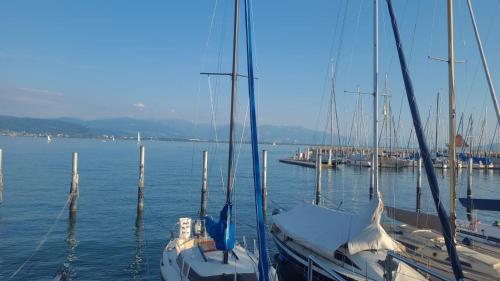 a group of boats docked in a harbor at Zimmer im See in Niederdorla