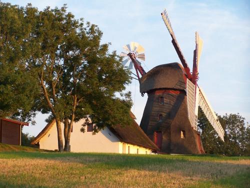 a windmill on a field next to a building at Møllehusets Bed & Breakfast in Nordborg