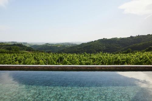 a pool of water in front of a vineyard at Peterc Vineyard Estate in Kojsko