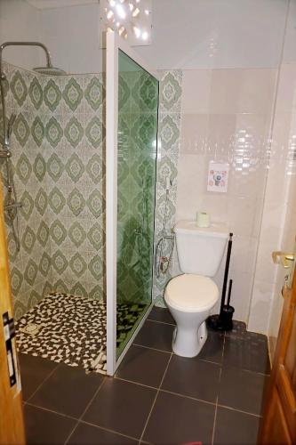 a small bathroom with a toilet and a shower at Riad côté jardin in Saly Portudal
