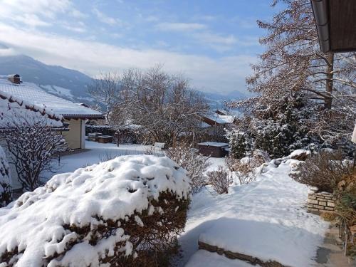 a yard covered in snow with trees and a house at Das Wasserhaus - für Zwei in Gersdorf