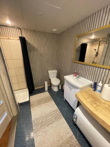 a bathroom with a sink and a toilet and a mirror at Lauku viesu māja Bajāri in Rucava