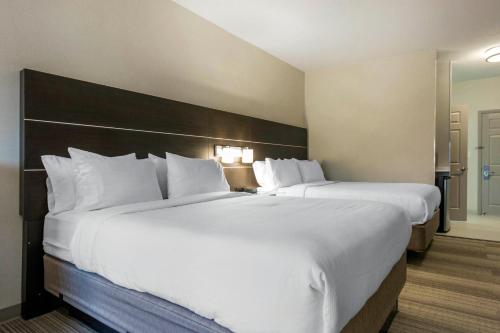 two large white beds in a hotel room at Holiday Inn Express & Suites Chicago West - St Charles by IHG in Saint Charles